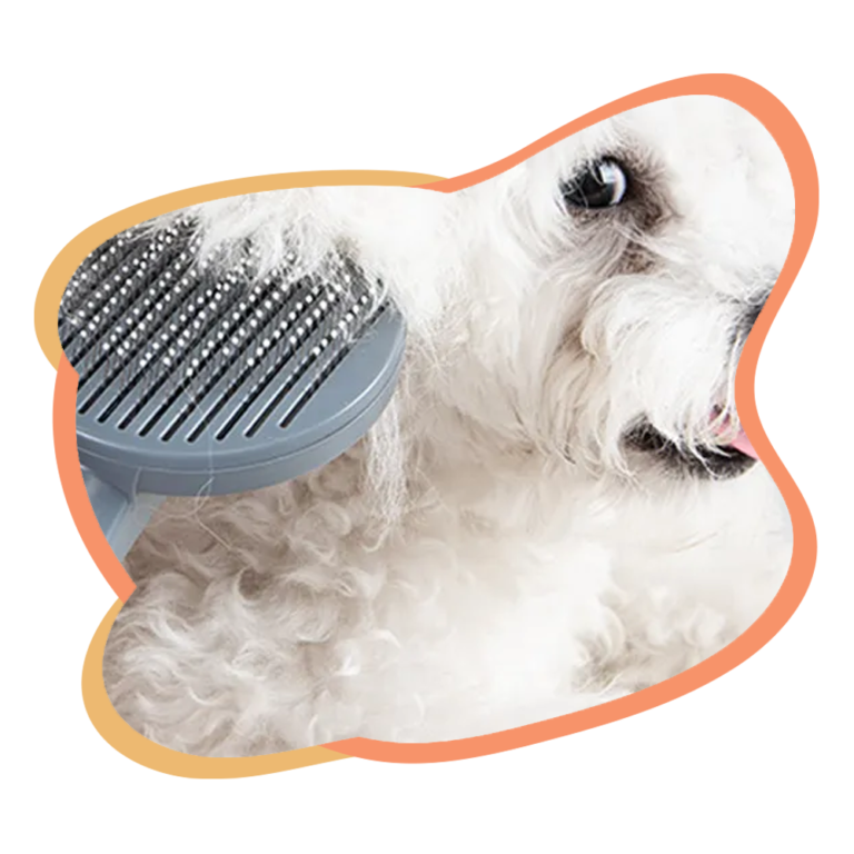 Meilleure Brosse pour Chien – Toilettage Facile