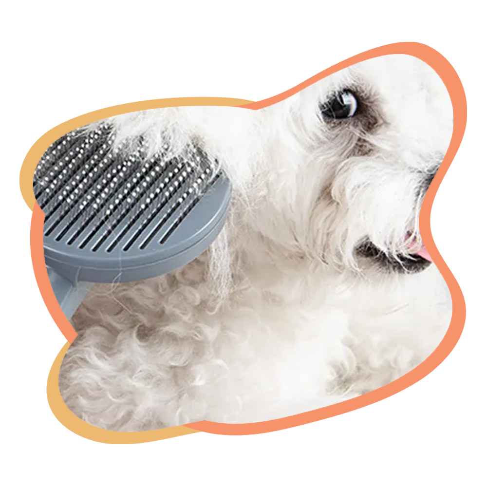 Meilleure Brosse pour Chien – Toilettage Facile